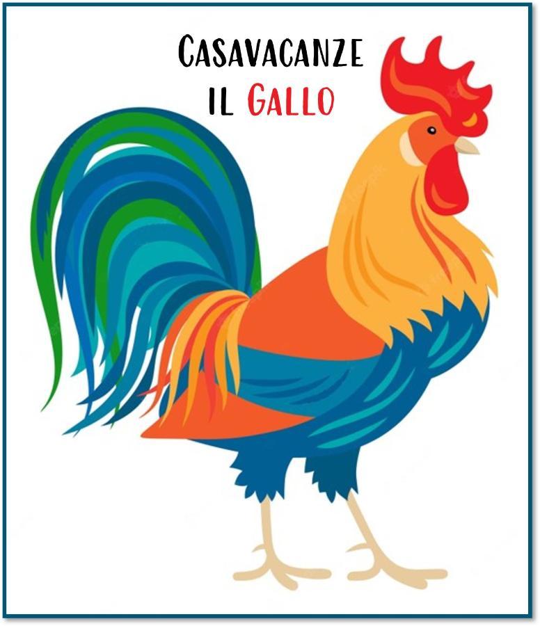 Casavacanze Il Gallo Omegna Eksteriør billede
